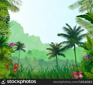 Forest landscape of tropical background