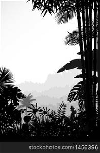 Forest landscape of tropical background .vector