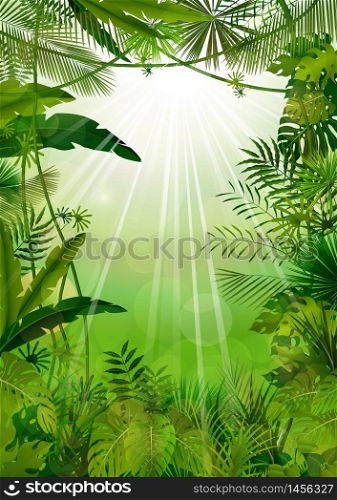 Forest landscape of tropical background with sunrays.vector