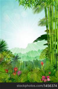 Forest landscape of tropical background with sunrays.vector