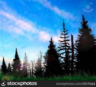 Forest landscape on a sunny day.Vector illustration
