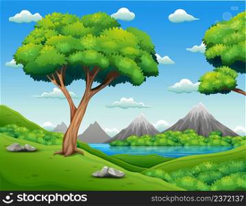 Forest landscape with beautiful nature background