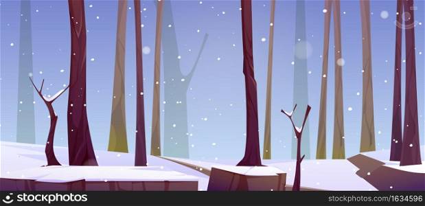 Forest landscape with white snow, tree trunks and path in winter. Vector cartoon illustration of natural park, garden or wood with bare trees and snowfall. Forest landscape with white snow in winter