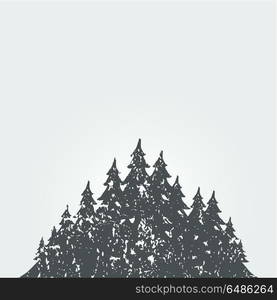 Forest landscape3. Forest landscape against the sky. Vector illustration