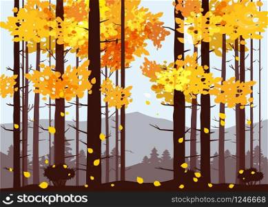 Forest, mountains, silhouettes of pine trees, firs panorama horizon. Forest, mountains, silhouettes of pine trees, firs, panorama, horizon, vector, illustration, isolated