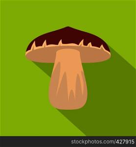 Forest mushroom icon. Flat illustration of forest mushroom vector icon for web. Forest mushroom icon, flat style