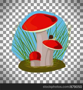 Forest mushroom with grass and snail on mushroom cap vectorisolated on transparent background. Forest mushroom with grass and snail