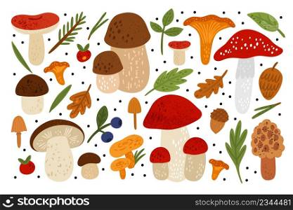 Forest mushrooms. Cartoon woodland fungus with leaves. Wild berries and coniferous needles. Edible and poisonous. Hand drawn textures. Agaric or chanterelle. Oak acorn. Vector botanical elements set. Forest mushrooms. Woodland fungus with leaves. Berries and coniferous needles. Edible and poisonous. Hand drawn textures. Agaric or chanterelle. Oak acorn. Vector botanical elements set