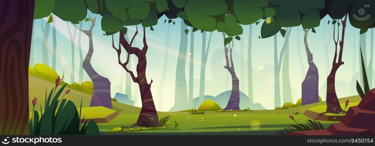 Forest park nature panorama cartoon illustration. Empty garden environment background with green grass, stone, hill and flower above summer sunshine beam. Magic fairytale game location scene vector. Forest park nature panorama cartoon illustration