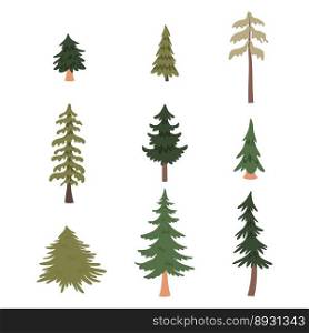 Forest pine trees set. Vector illustration 