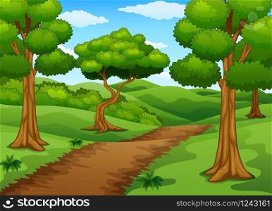 Forest scene with dirt trail