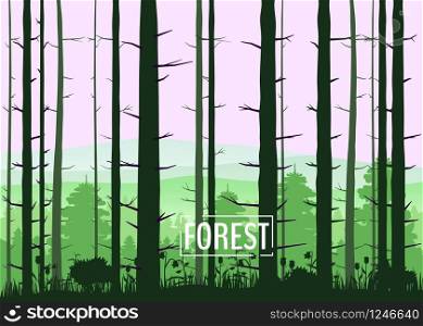 Forest, silhouettes, trees, pine fir nature environment horizon panorama vector. Forest, silhouettes, trees, pine, fir, nature, environment, horizon, panorama, vector, illustration, isolated