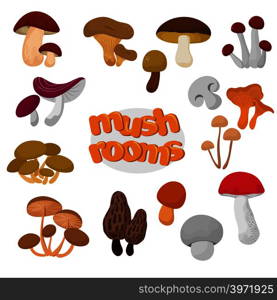 Forest summer and autumn cartoon edible mushrooms vector set. Mushroom food illustration collection. Forest summer and autumn cartoon edible mushrooms vector set