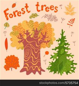 Forest trees, bushes, leaves. Set of cute elements for design. Vector illustration.