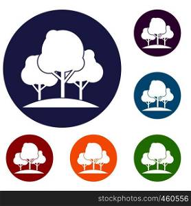 Forest trees icons set in flat circle reb, blue and green color for web. Forest trees icons set