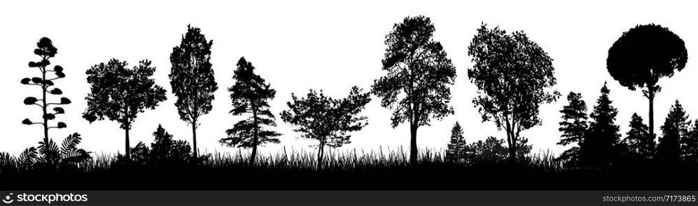 Forest trees silhouette poster. Trees silhouette on white background, vector illustration