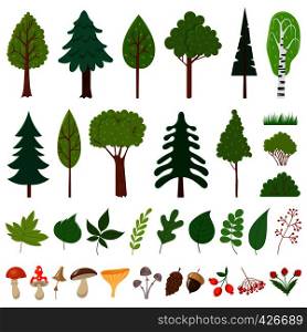 Forest trees. Woodland tree, wild berries plants and mushroom. Forests floral elements or wood botanical icons, pine oak birch trees, mushrooms and different leaves. Vector isolated sign set. Forest trees. Woodland tree, wild berries plants and mushroom. Forests floral elements vector set