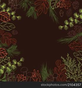 Forest vector background with leaves, conifer branches, cones and mushrooms. Sketch illustration.. Forest vector background Sketch illustration.