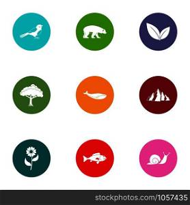 Forestland icons set. Flat set of 9 forestland vector icons for web isolated on white background. Forestland icons set, flat style