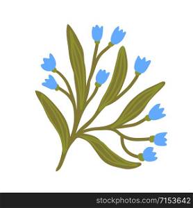 Forget-me-not flower. Interior floral design. Blue flower isolated element for logo design. Forget-me-not flower. Interior floral design. Blue flower isolated element for logo design.