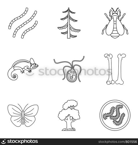 Fossil icons set. Outline set of 9 fossil vector icons for web isolated on white background. Fossil icons set, outline style