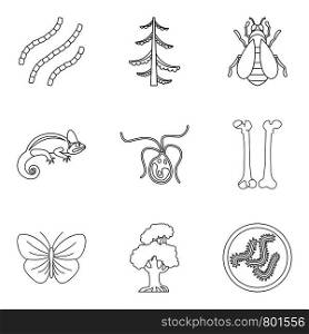 Fossil icons set. Outline set of 9 fossil vector icons for web isolated on white background. Fossil icons set, outline style
