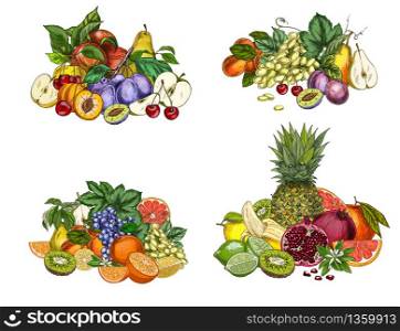 Four bunches of garden fruits. colored hand drawn vector illustrations.