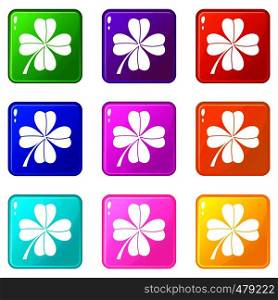 Four leaf clover icons of 9 color set isolated vector illustration. Four leaf clover set 9