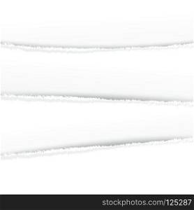 Four sheets of paper with torn edges. Layered vector template. Multi-layered torn white paper.