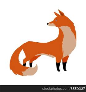 Fox flat style vector. Wild predatory animal. Middle latitudes fauna species. Beautiful red fox cartoon on white background. For nature concepts, children s books illustrating, printing materials. Fox Vector Illustration in Flat Design. Fox Vector Illustration in Flat Design