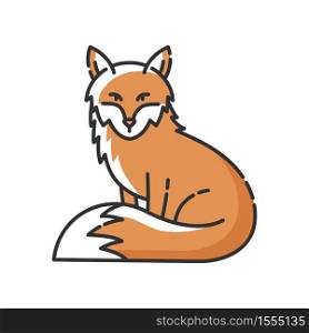 Fox RGB color icon. Cute animal with furry tail, common mammal, omnivore woodland creature. Forest wildlife, zoology. Adorable fox isolated vector illustration. Fox RGB color icon