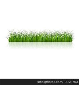 Fragment of a beautiful green grass  isolated on a white, Vector illustration