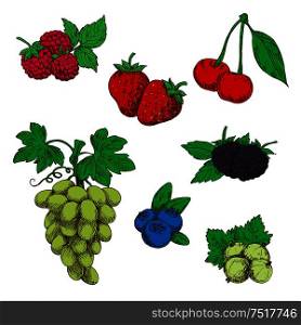Fragrant wild strawberries, raspberries, blackberries and blueberries, green table grapes, sweet cherries, and gooseberries fruits with fresh green leaves and stems sketch icons in retro style. Fragrant fresh fruits and berries sketch symbols