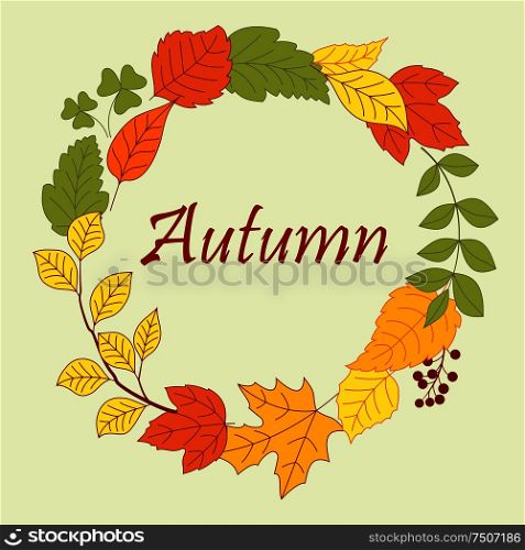 Frame border of colorful autumn leaves and tree branch, clovers and seeds of herbs. Frame border of autumn leaves and clovers