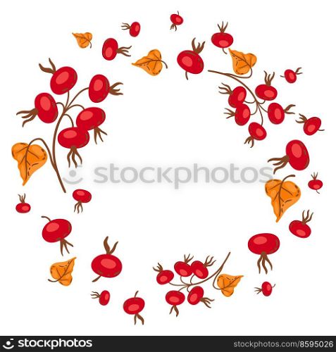 Frame from branches with rose hips. Image of seasonal autumn plant.. Frame from branches with rose hips. Image of autumn plant.