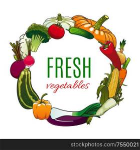 Frame of fresh vegetables isolated veggies. Vector vegetarian food, tomato and pumpkin, carrot and pepper, broccoli and eggplant. Onion and cauliflower, beetroot and garlic, zucchini and cucumber. Vegetables banner, vector pumpkin, tomato, corn