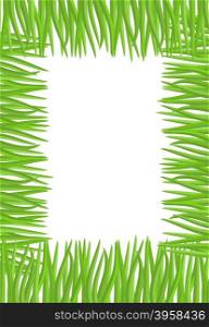 Frame of green grass. Natural vector illustration with space for text&#xA;