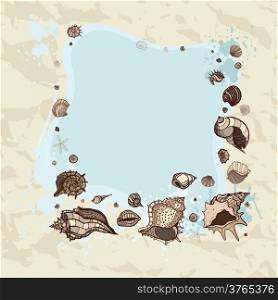 Frame of seashells. Summer background. Vector illustration.
