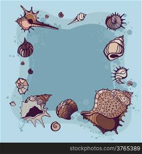 Frame of seashells. Summer background. Vector illustration.