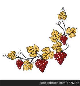 Frame of vine with leaves and bunches of grapes. Winery image for restaurants and bars. Business and agricultural item.. Frame of vine with leaves and bunches of grapes. Winery image for restaurants and bars.