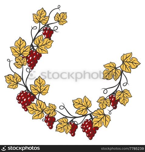 Frame of vine with leaves and bunches of grapes. Winery image for restaurants and bars. Business and agricultural item.. Frame of vine with leaves and bunches of grapes. Winery image for restaurants and bars.