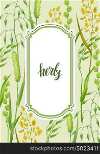 Frame with herbs and cereal grass. Floral design of meadow plants. Frame with herbs and cereal grass. Floral design of meadow plants.