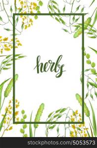 Frame with herbs and cereal grass. Floral design of meadow plants. Frame with herbs and cereal grass. Floral design of meadow plants.