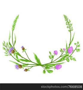 Frame with herbs and cereal grass. Floral design of meadow plants.. Frame with herbs and cereal grass.