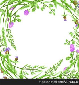 Frame with herbs and cereal grass. Floral design of meadow plants.. Frame with herbs and cereal grass.