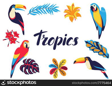 Frame with macaw parrot, toucan and tropical plants. Exotic decorative birds, flower anf leaves. Stylized image for design.. Frame with macaw parrot, toucan and tropical plants. Exotic decorative birds, flower anf leaves.
