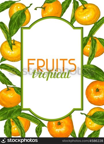 Frame with mandarins. Tropical fruits and leaves. Frame with mandarins. Tropical fruits and leaves.