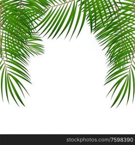 Frame with Palm Leaf Vector Background Isolated Illustration EPS10. Frame with Palm Leaf Vector Background Isolated Illustration