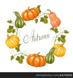 Frame with pumpkins. Decorative ornament from vegetables and leaves. Frame with pumpkins. Decorative ornament from vegetables and leaves.