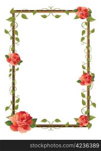 frame with rose